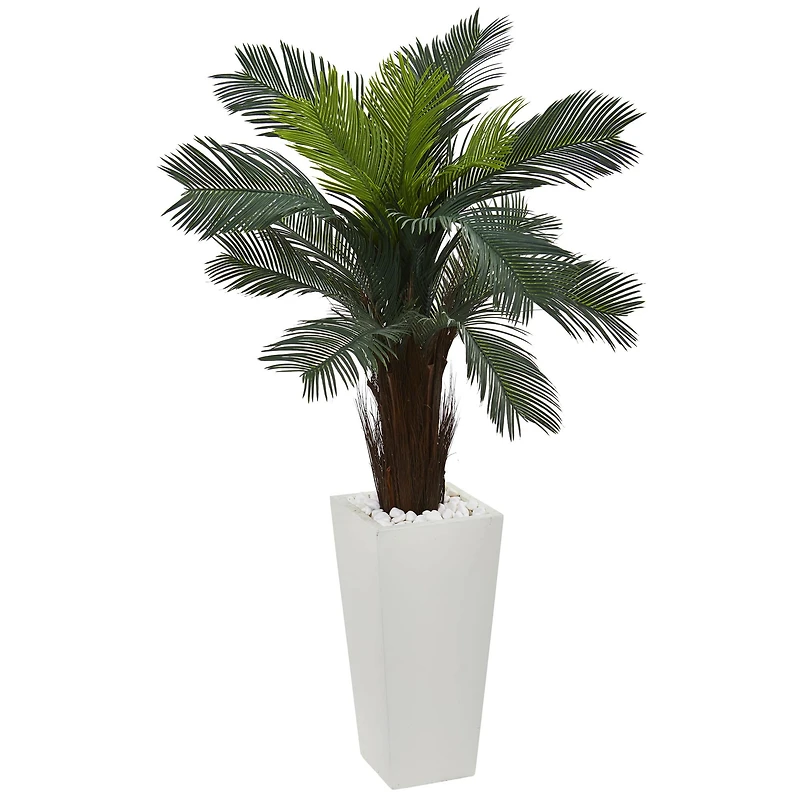 4.5ft. Cycas Plant in White Tower Planter