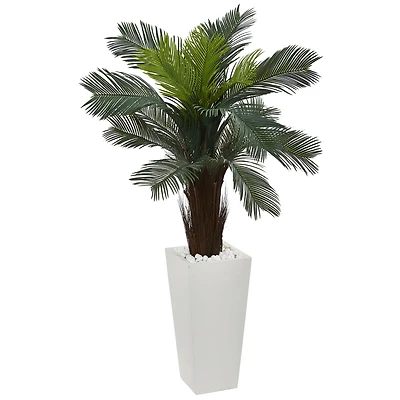 4.5ft. Cycas Plant in White Tower Planter