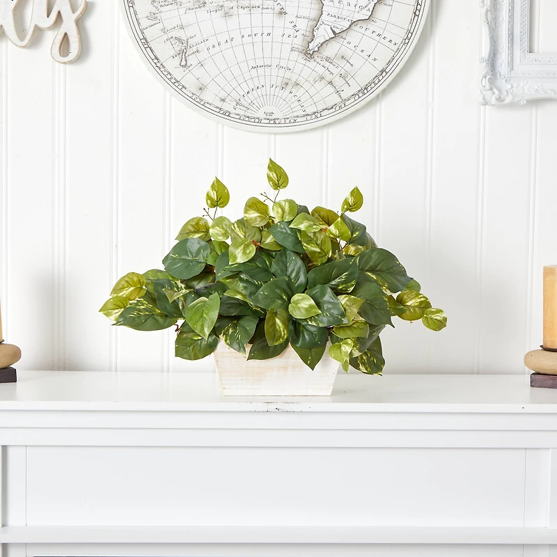 14" Pothos with White Wash Planter