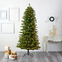 7.5ft. Pre-Lit Belgium Fir Artificial Christmas Tree, Clear LED Lights