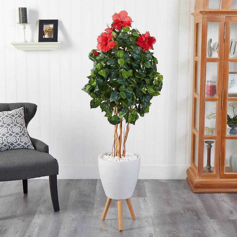 6ft. Hibiscus Tree in White Planter with Stand