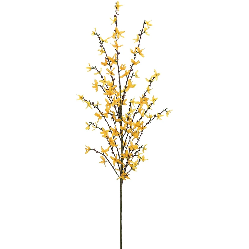 Yellow Forsythia Spray
