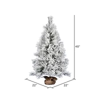 48" Unlit Frosted Beckett Pine Artificial Christmas Tree