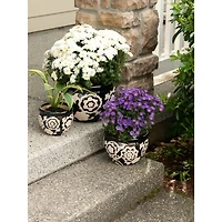 Floral Nights Ceramic Planter Set