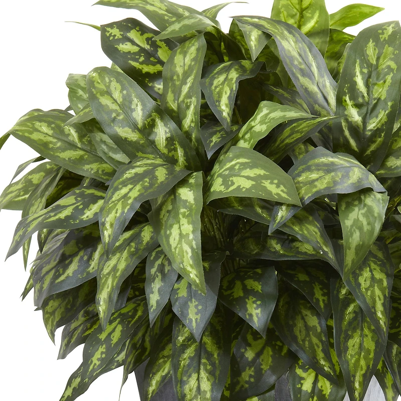 37" Silver King Plant with Slate Planter