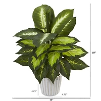 19" Dumb Cane in White Vase Set