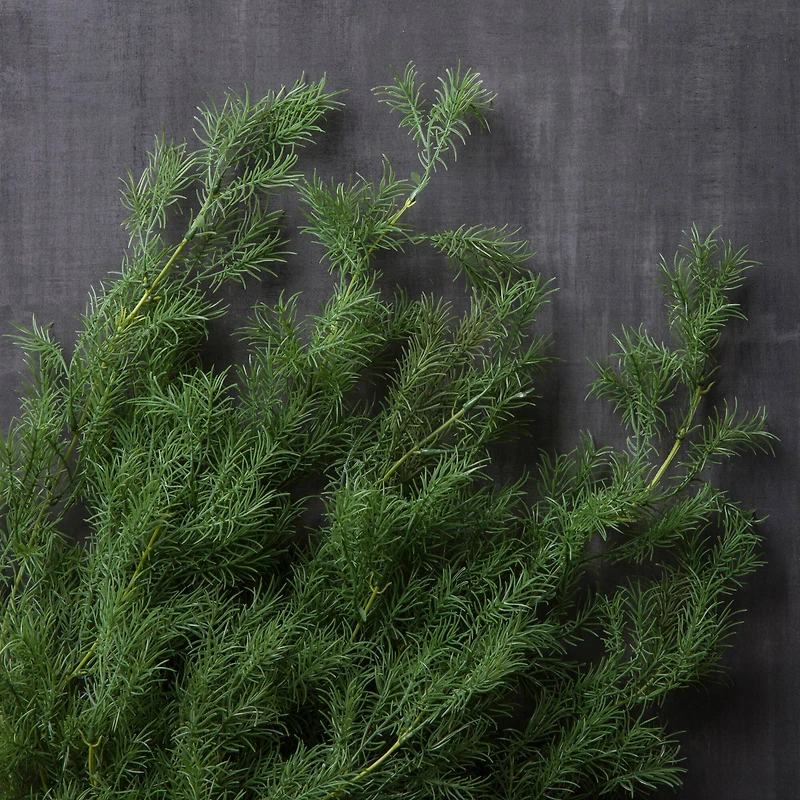 12 Pack: Green Springeri Fern Bush by Ashland®