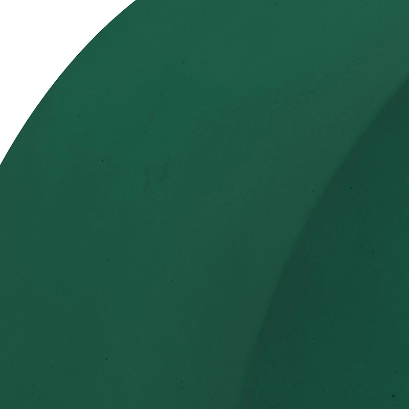 FloraCraft® 3" x 5" Green Artesia WetFōM® Disc