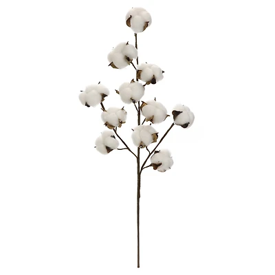 Cotton Stem by Ashland®