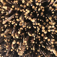 Wilson® Enterprises Birch Sticks, 3ct.