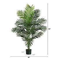 5ft. Potted Paradise Palm