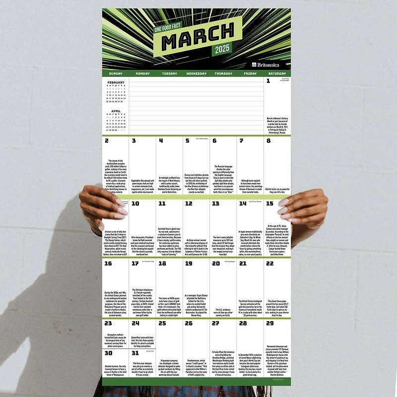 TF Publishing 2025 One Good Fact Wall Calendar