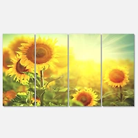 Designart - Sunflowers blooming on the field