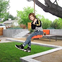 Sorbus Disc Seat Swing