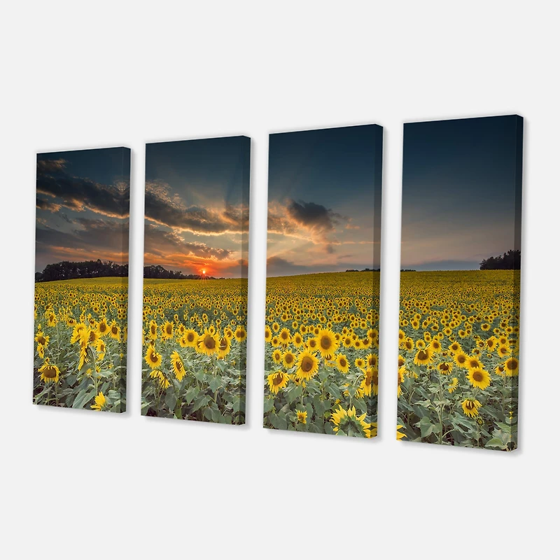 Designart - Sunflower Sunset with Cloudy Sky