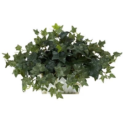 14" Ivy in White Planter
