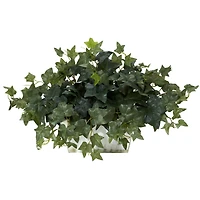 14" Ivy in White Planter