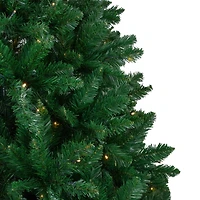 7.5ft. Pre-Lit Twin Lakes Fir Artificial Christmas Tree, Warm White LED Lights