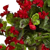 2.5ft. Geranium Hanging Basket