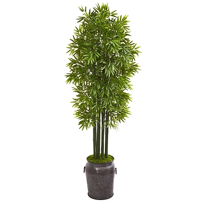 6ft. Bamboo Tree with Black Trunks in Metal Planter