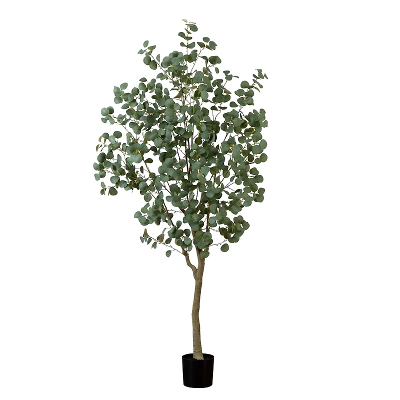 7ft. Potted Greco Eucalyptus Tree