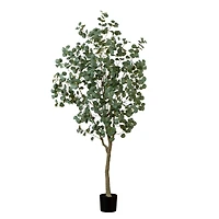7ft. Potted Greco Eucalyptus Tree