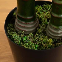 10ft. Potted Green UV Resistant Artificial Double Robellini Palm Tree