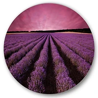 Designart - Sunrise & Dramatic Clouds Over Lavender Field XI