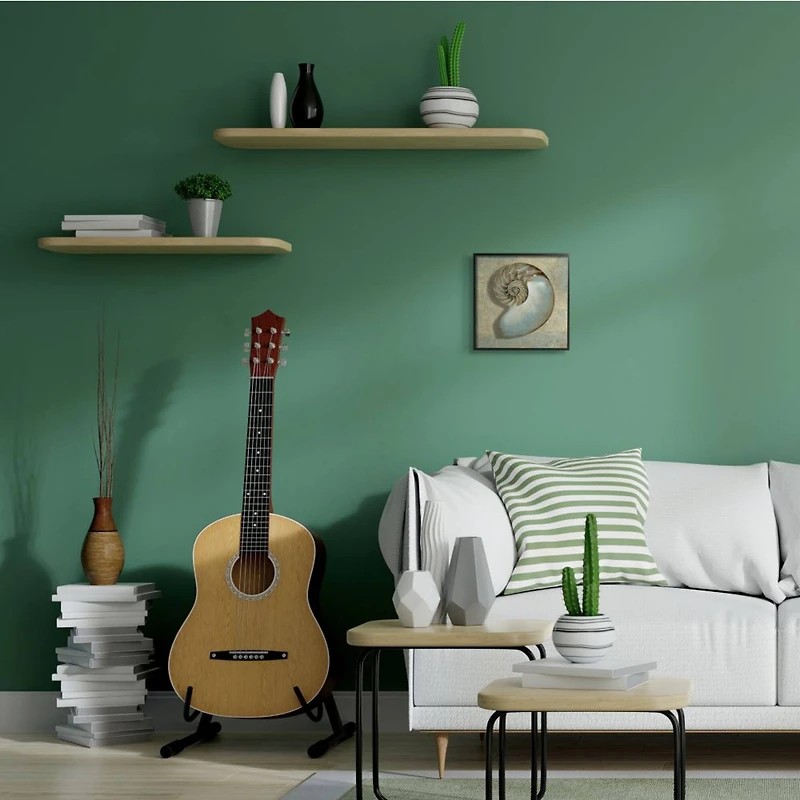 Stupell Industries Shell Beach Objects Design Black Framed Wall Art