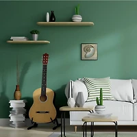 Stupell Industries Shell Beach Objects Design Black Framed Wall Art