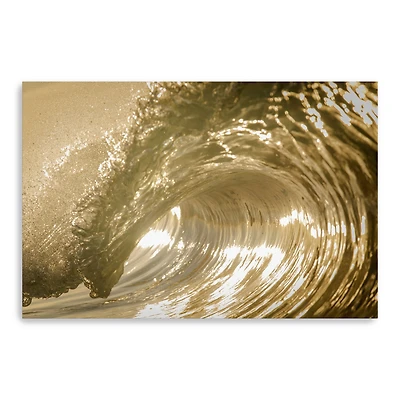 Auricomus Canvas Giclee