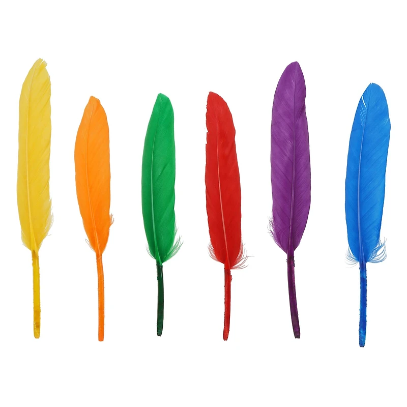 Rainbow Craft Goose Feathers by Creatology™