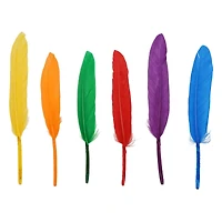 Rainbow Craft Goose Feathers by Creatology™