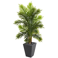 5.5ft. Areca Palm Tree with Slate Planter