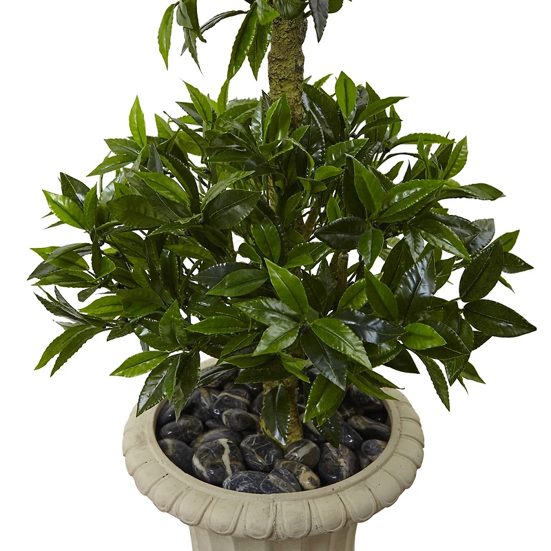 5.5ft. Triple Bay Leaf Topiary Tree in Urn