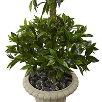 5.5ft. Triple Bay Leaf Topiary Tree in Urn