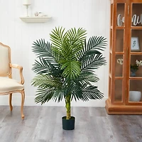 4ft. Potted Golden Cane Palm Tree