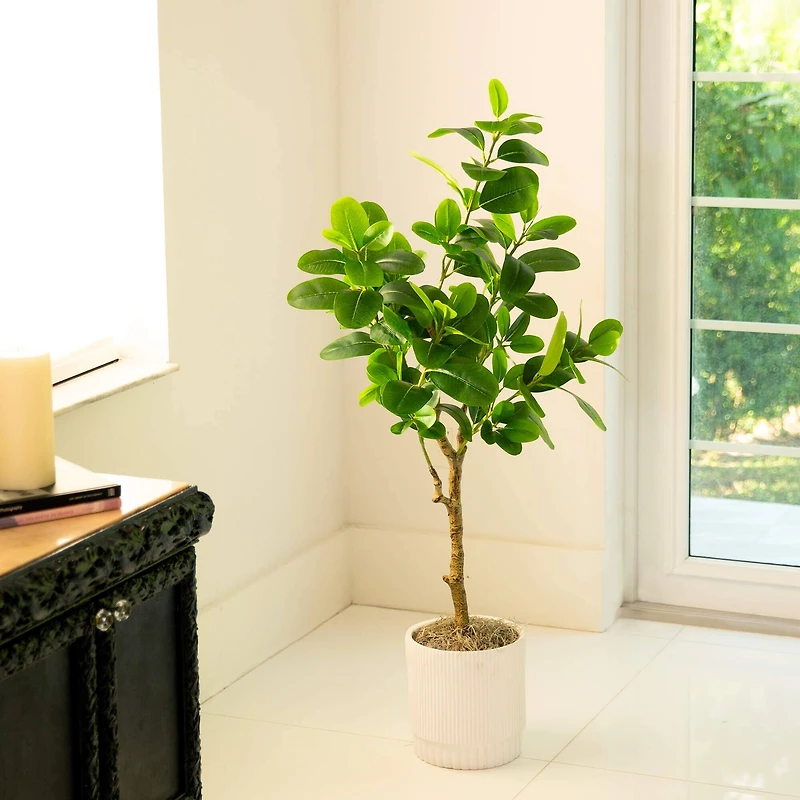 4ft. Artificial Audrey Ficus Tree