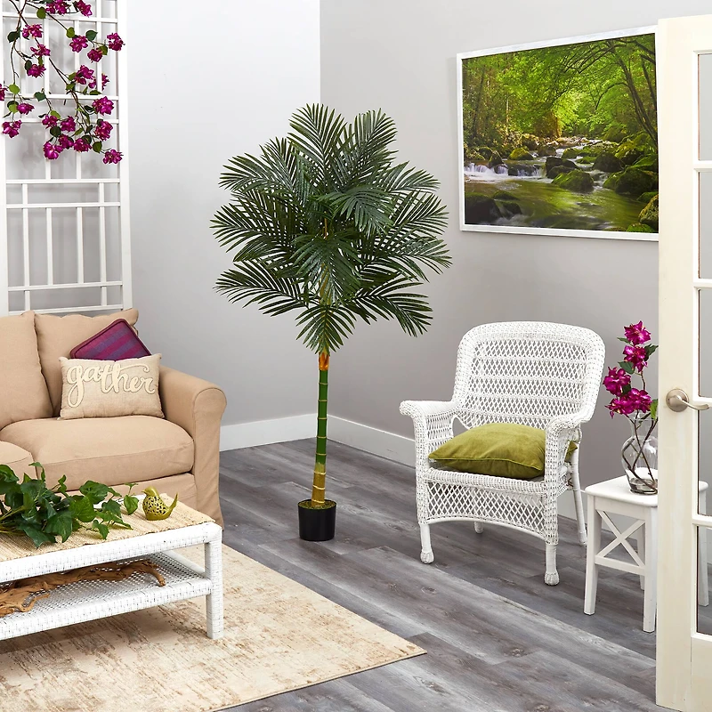 6ft. Potted Golden Cane Palm Tree