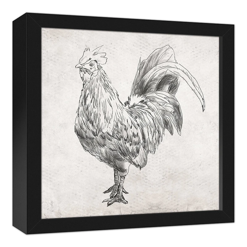 Sketched Black Chicken Canvas Wall Art in Black Frame