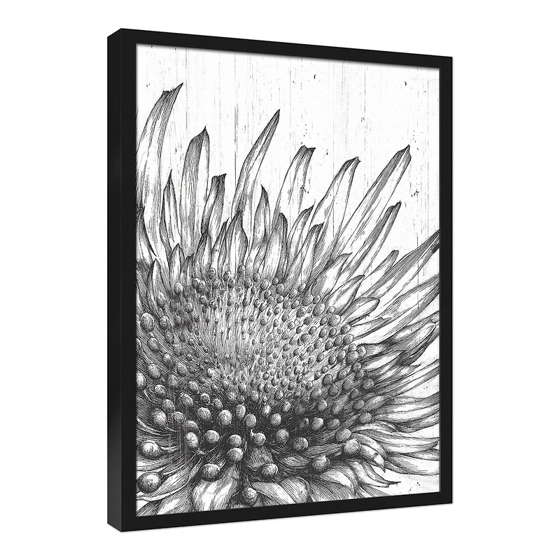 Sunflower Sketches 21.73" x 31.73" Black Framed Canvas