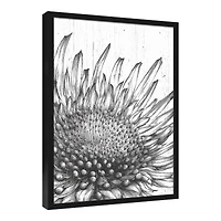 Sunflower Sketches 21.73" x 31.73" Black Framed Canvas