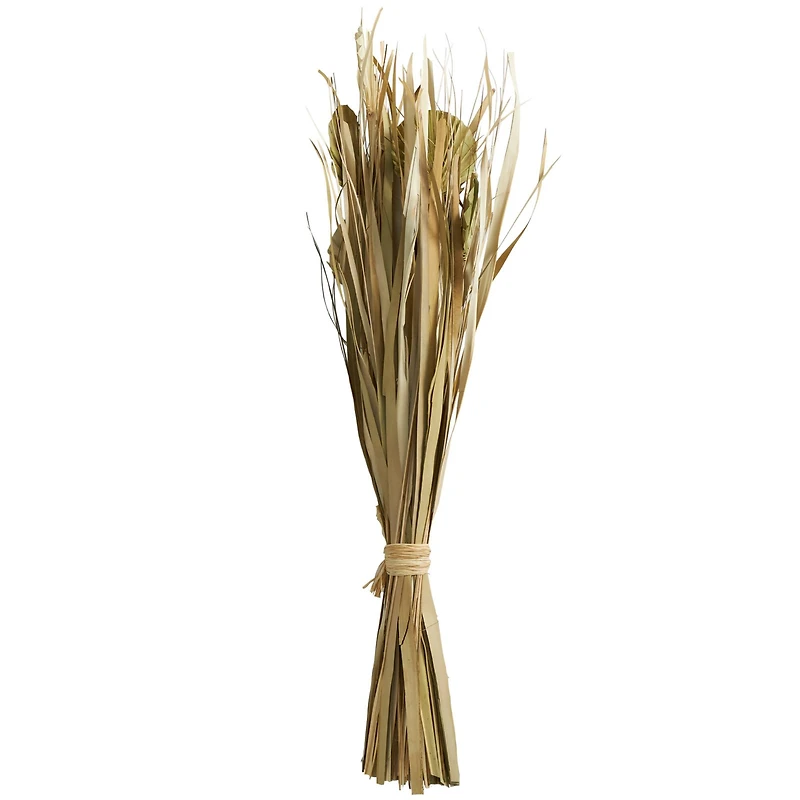 40" Green Dried Plant Bouquet Grass Natural Foliage with Fan Like Palm Leaves