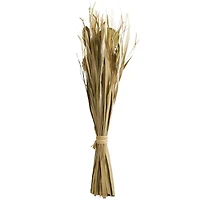 40" Green Dried Plant Bouquet Grass Natural Foliage with Fan Like Palm Leaves
