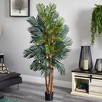 6ft. Potted Robellini Palm Tree