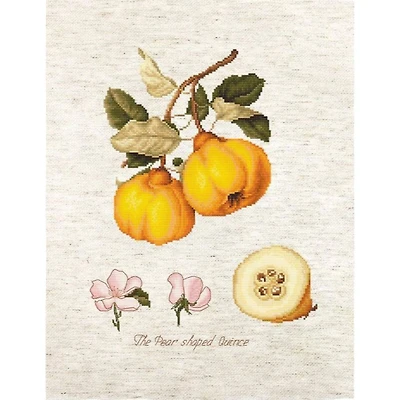 Luca-s The Pear Shaped Quince Counted Cross Stitch Kit