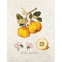 Luca-s The Pear Shaped Quince Counted Cross Stitch Kit