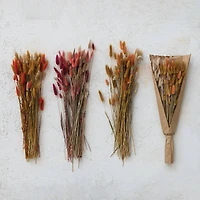 Hello Honey® 19.5" Dried Natural Bunny Tail Grass Bunch, 3ct.