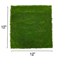 12" x 12" Green Faux Moss Mat by Ashland®