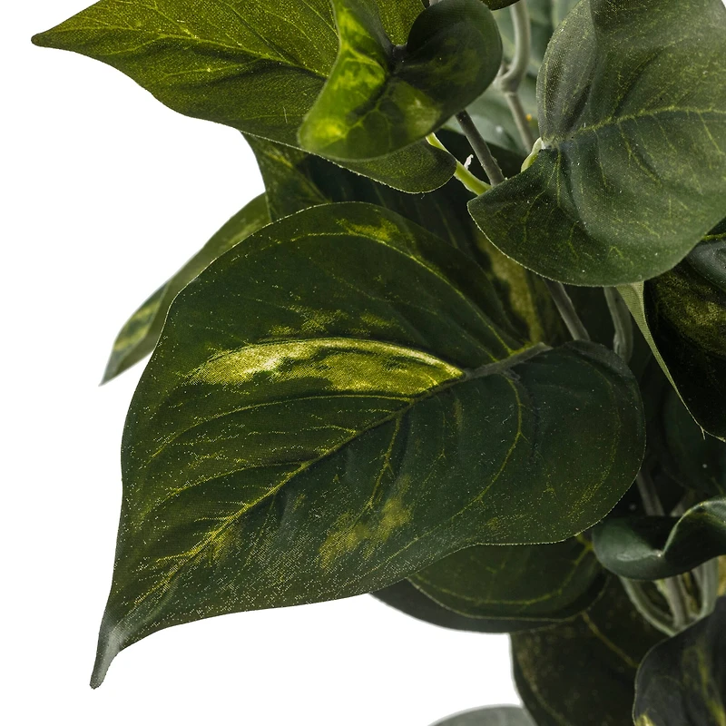 12 Pack: Pothos Bush by Ashland® Real Touch™